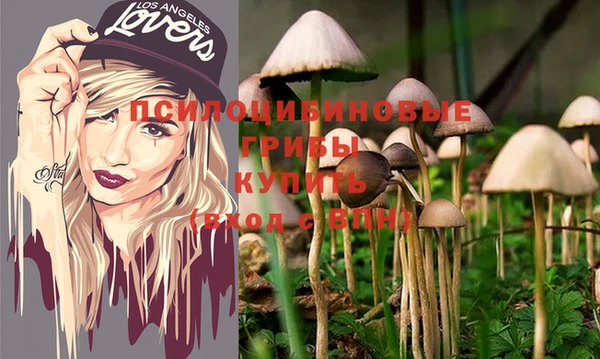 мет Покачи