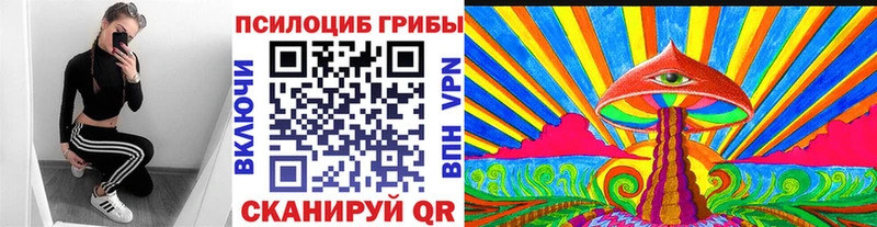Галлюциногенные грибы GOLDEN TEACHER  Купить закладки  Зея 